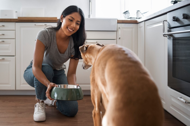 What’s Really in Your Dog’s Wet Food? Ingredients to Know