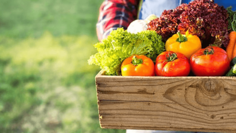 Growcycle B2B Marketplace