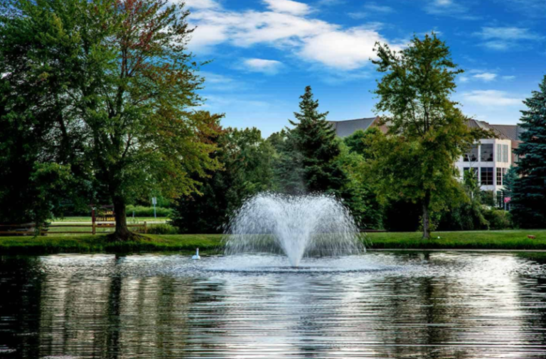 The Perfect Spot: Strategic Placement for Optimal Pond Fountain Impact