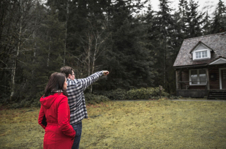 Your Comprehensive Guide to Buying a Dream Cottage in Haliburton Highlands