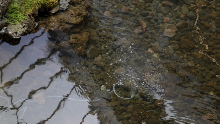 The Importance of Solar Pond Aeration Systems: Enhancing Water Quality and Sustainability