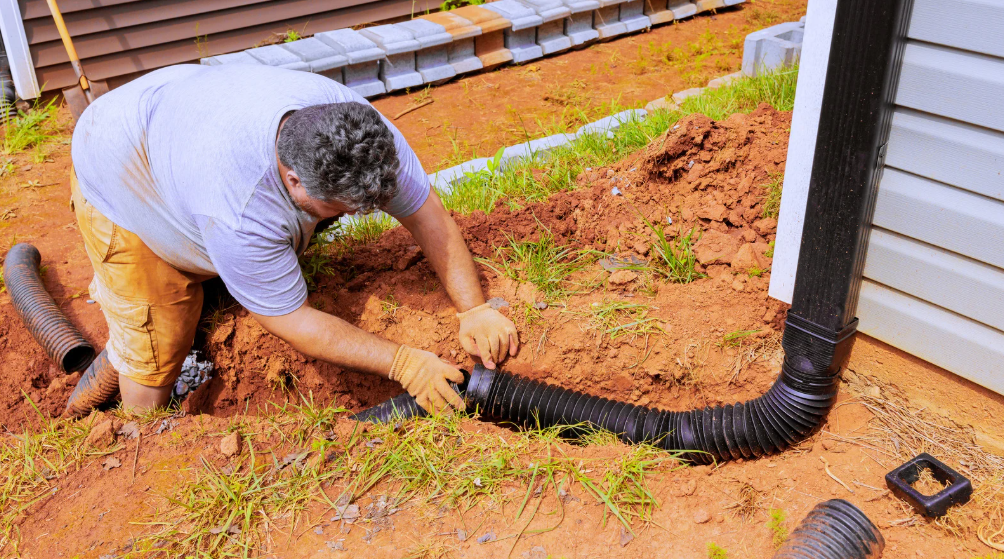 The Impact of Drainage Solutions on Plant Health and Root Systems