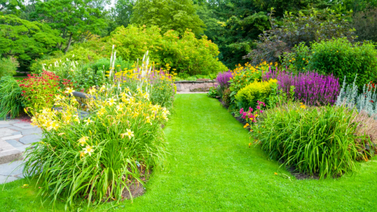 Best Landscaping Plants for Every Season: A Complete Guide
