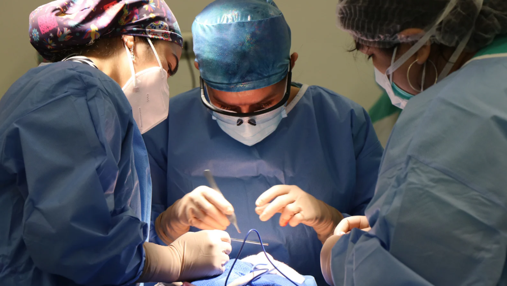 The Anatomy of a Gastric Bypass: A Guide to Your New Digestive System